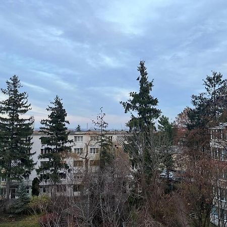 Apartament Theta- Langa Centru, Cada Hidromasaj Suceava Dış mekan fotoğraf