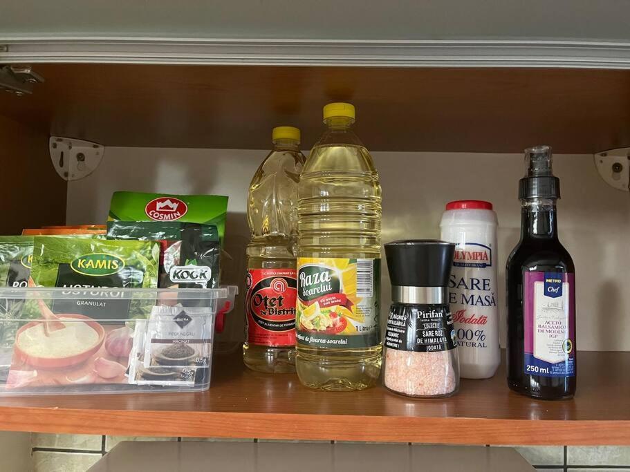 Apartament Theta- Langa Centru, Cada Hidromasaj Suceava Dış mekan fotoğraf