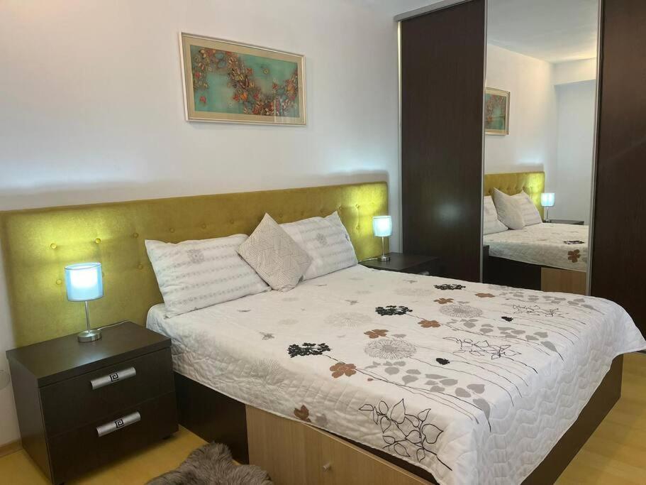 Apartament Theta- Langa Centru, Cada Hidromasaj Suceava Dış mekan fotoğraf